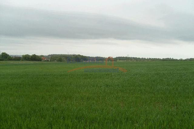 Działka Sprzedaż Siadło Górne