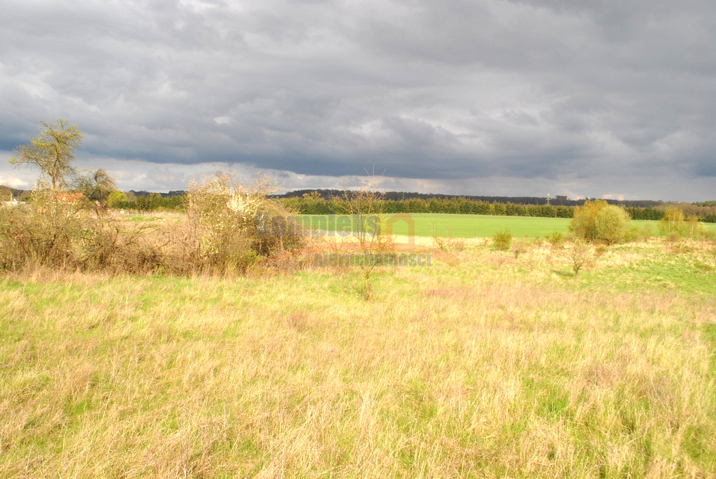 Działka Sprzedaż Binowo