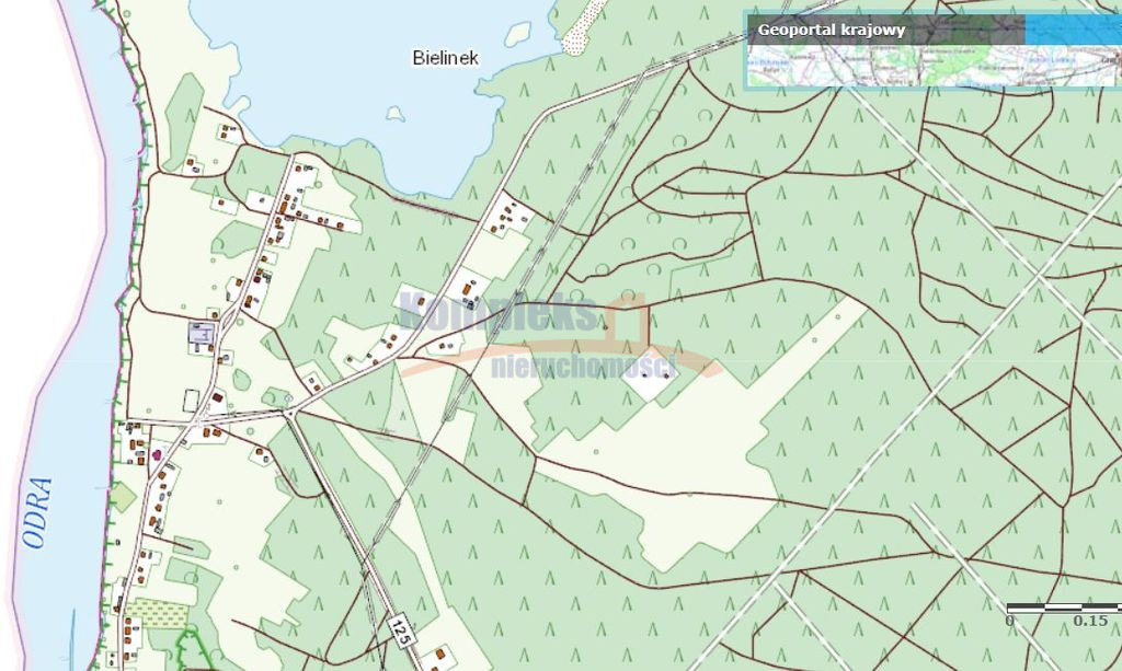 Działka Sprzedaż Bielinek