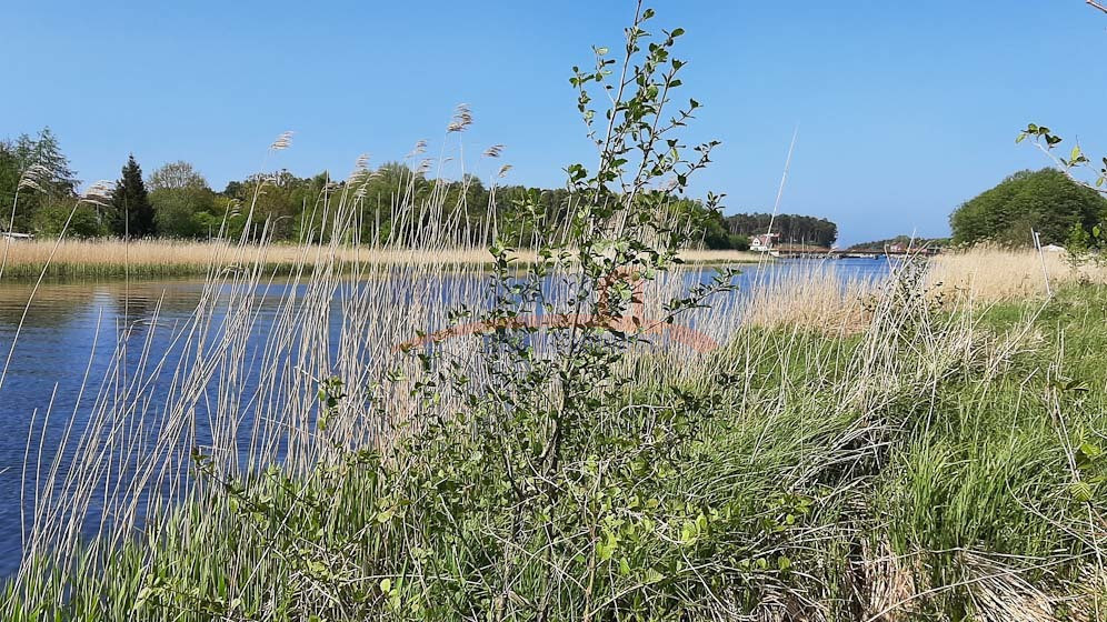 Działka Sprzedaż Mrzeżyno