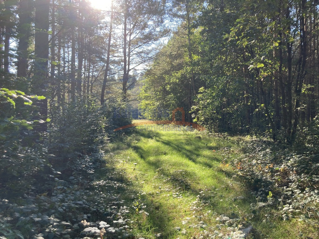 Działka Sprzedaż Krzepocin