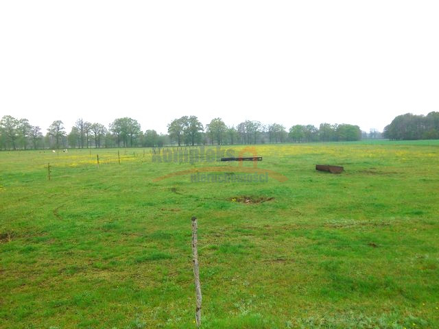 Działka Sprzedaż Rzędziny