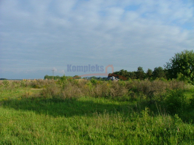 Działka Sprzedaż Żabin