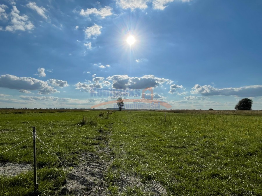 Działka Sprzedaż Wierzbno