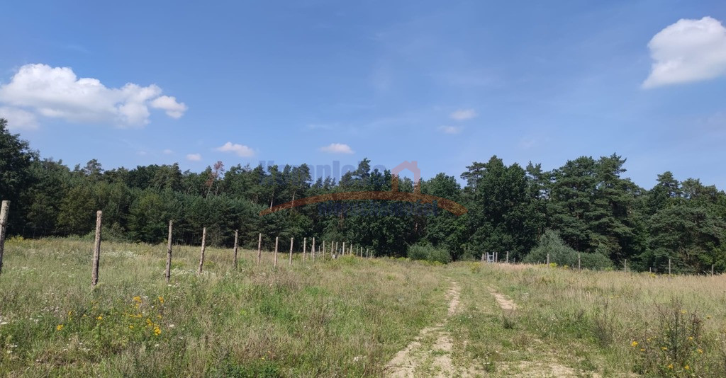 Działka Sprzedaż Kościno