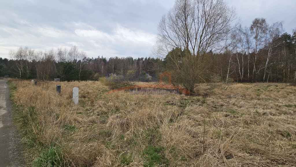 Działka Sprzedaż Dołuje