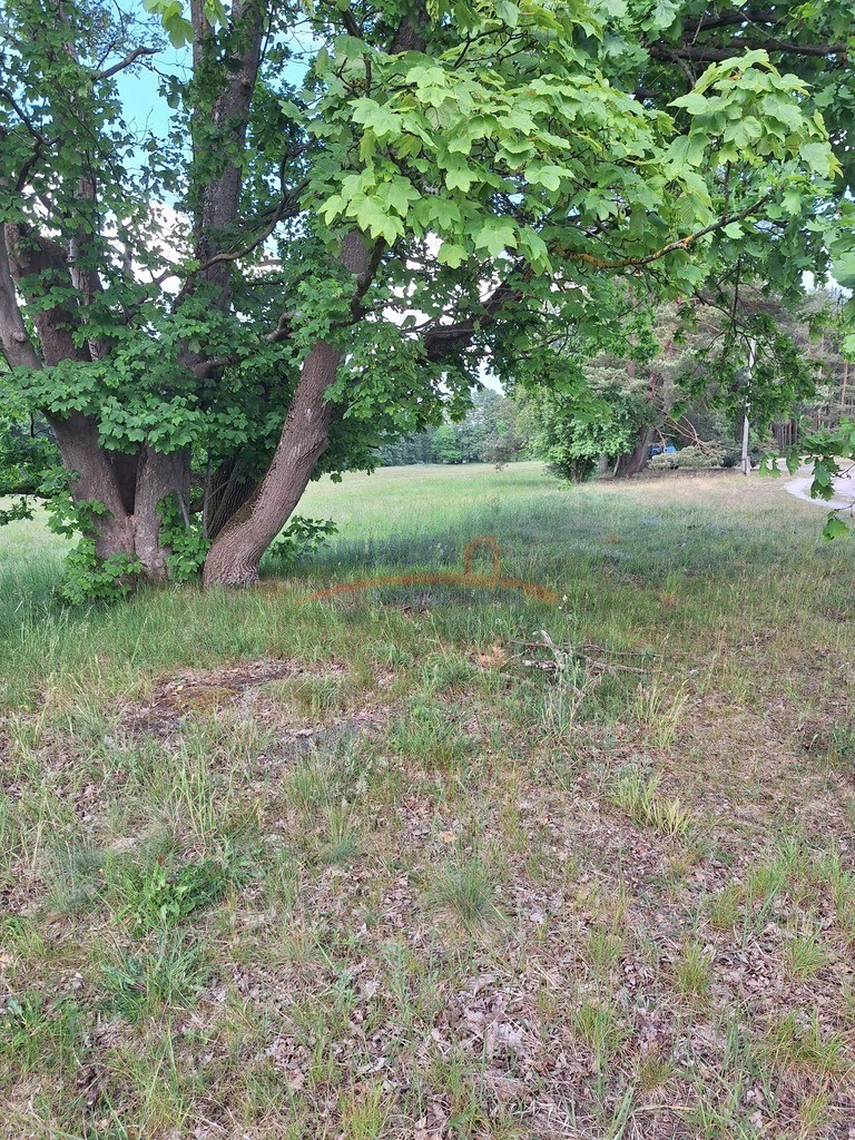 Działka Sprzedaż Tanowo Szczecińska