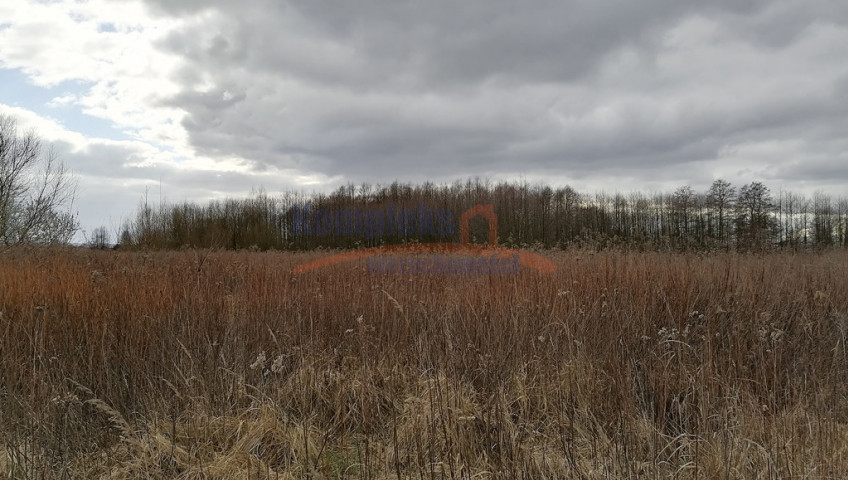 Działka Sprzedaż Szczecin Dąbie