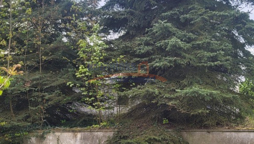 Działka Sprzedaż Recz Kolejowa