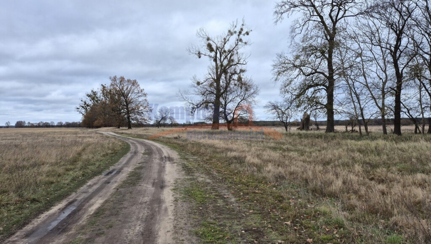 Działka Sprzedaż Łęgi
