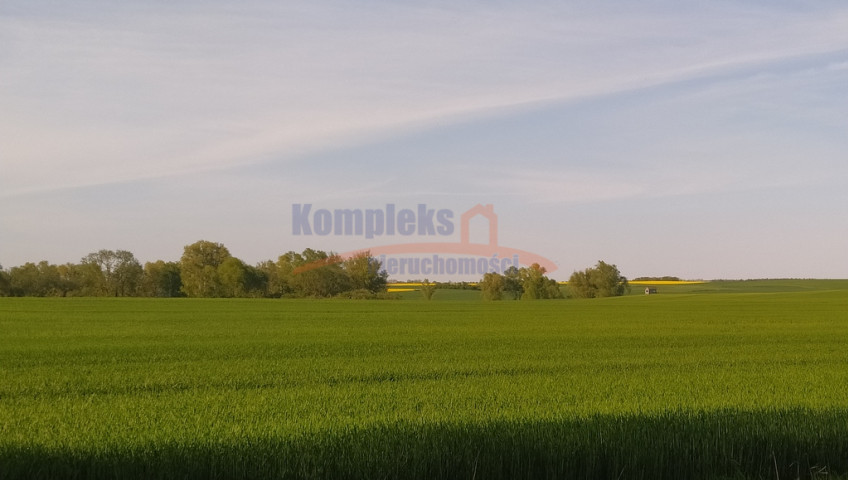 Działka Sprzedaż Recz