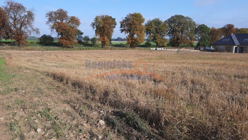 Działka Sprzedaż Kurów