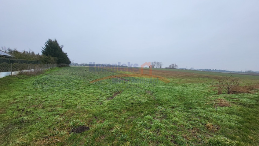 Działka Sprzedaż Warzymice
