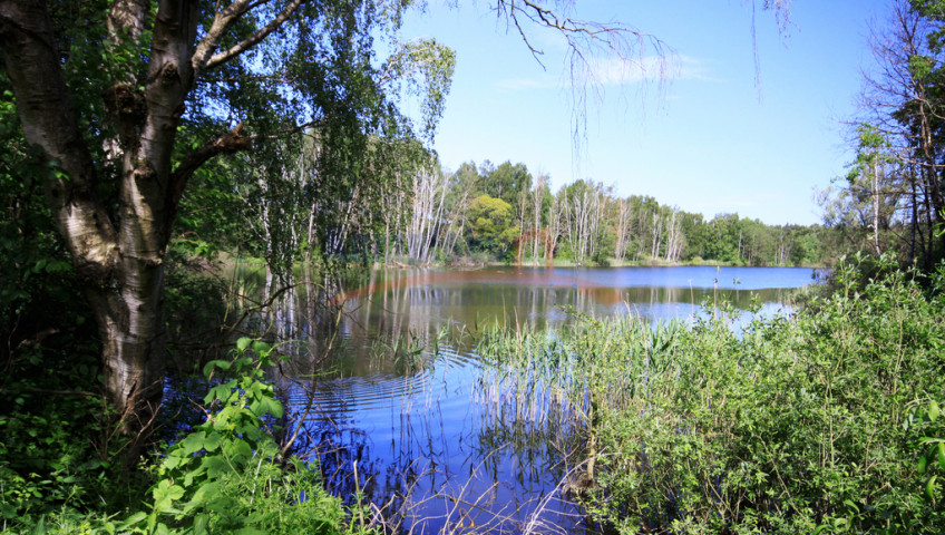 Działka Sprzedaż Bartoszewo