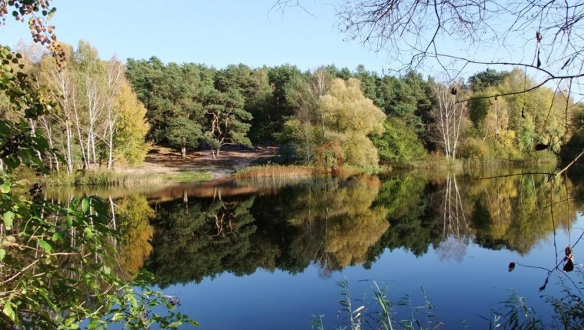 Działka Sprzedaż Bartoszewo