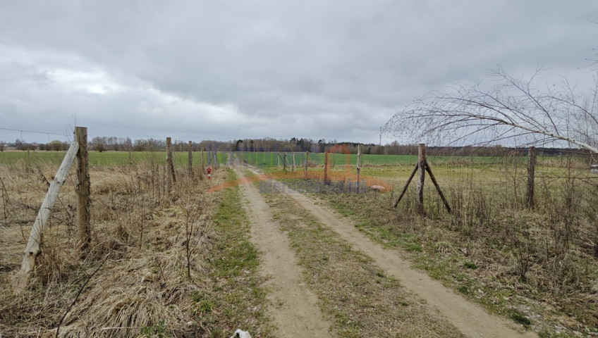 Działka Sprzedaż Wąwelnica