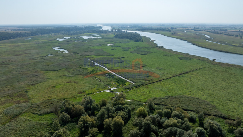 Działka Sprzedaż Stary Błeszyn