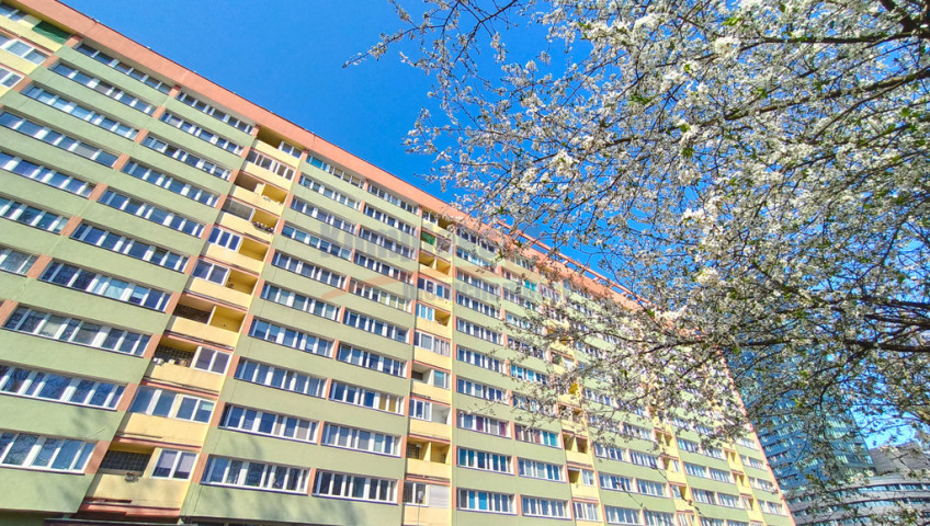Mieszkanie Sprzedaż Szczecin Centrum al.&nbsp;Wyzwolenia