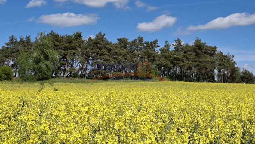 Działka Sprzedaż Parsów