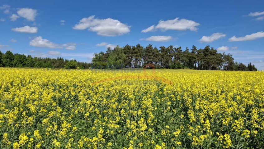 Działka Sprzedaż Parsów