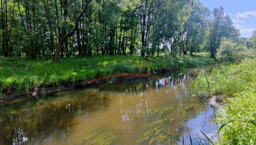 Działka Sprzedaż Żarowo