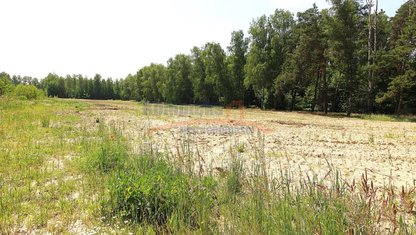 Działka Sprzedaż Grabowo