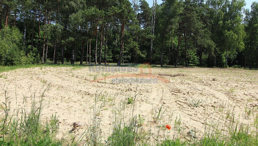Działka Sprzedaż Grabowo
