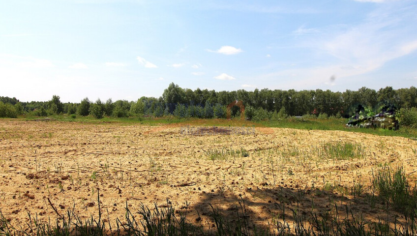 Działka Sprzedaż Grabowo