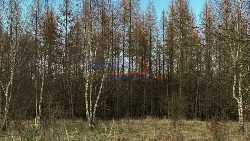 Działka Sprzedaż Błotno Błotny Młyn