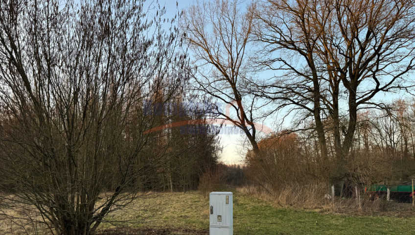Działka Sprzedaż Błotno Błotny Młyn