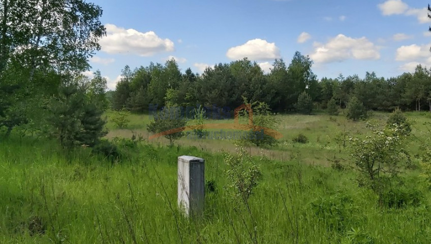 Działka Sprzedaż Dąbrowica