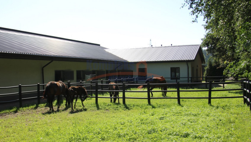 Dom Sprzedaż Dobropole