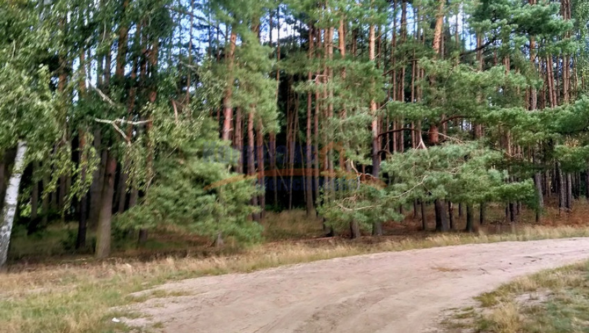 Działka Sprzedaż Tanowo Szczecińska
