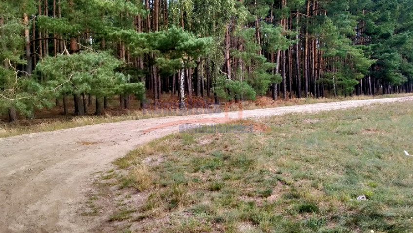 Działka Sprzedaż Tanowo Szczecińska