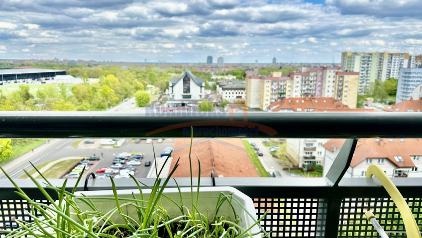 Mieszkanie Wynajem Szczecin Centrum Santocka