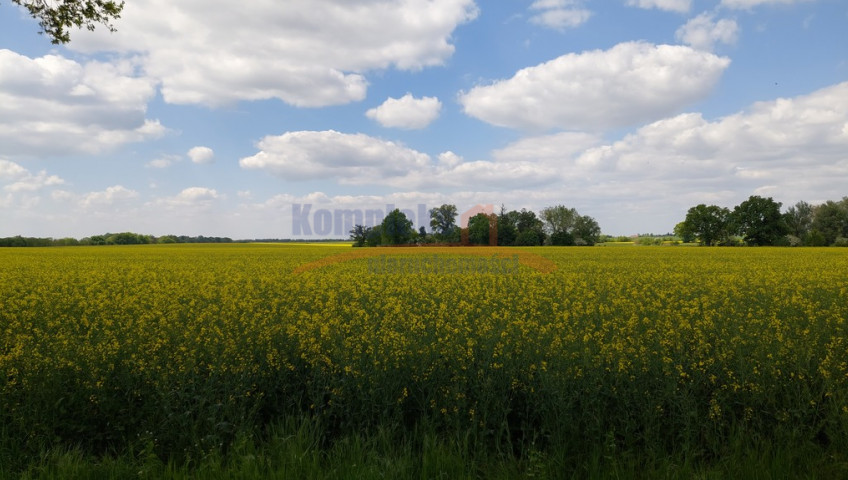 Działka Sprzedaż Mielno