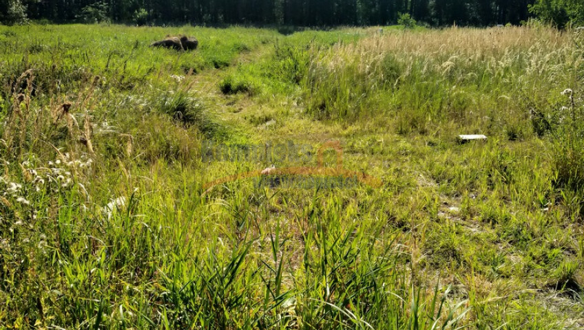 Działka Sprzedaż Wołczkowo