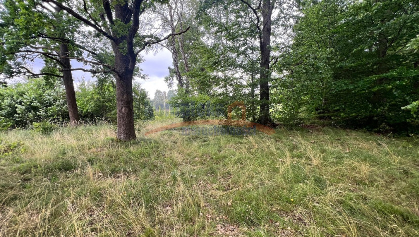 Działka Sprzedaż Storkowo