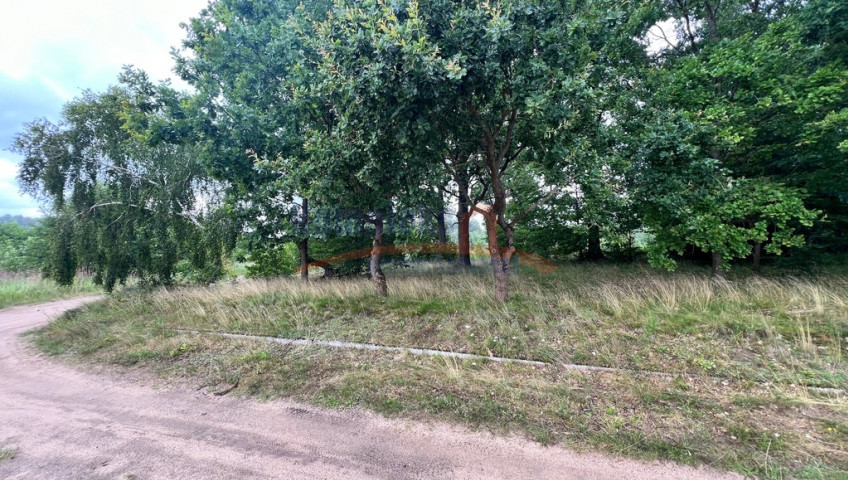 Działka Sprzedaż Storkowo