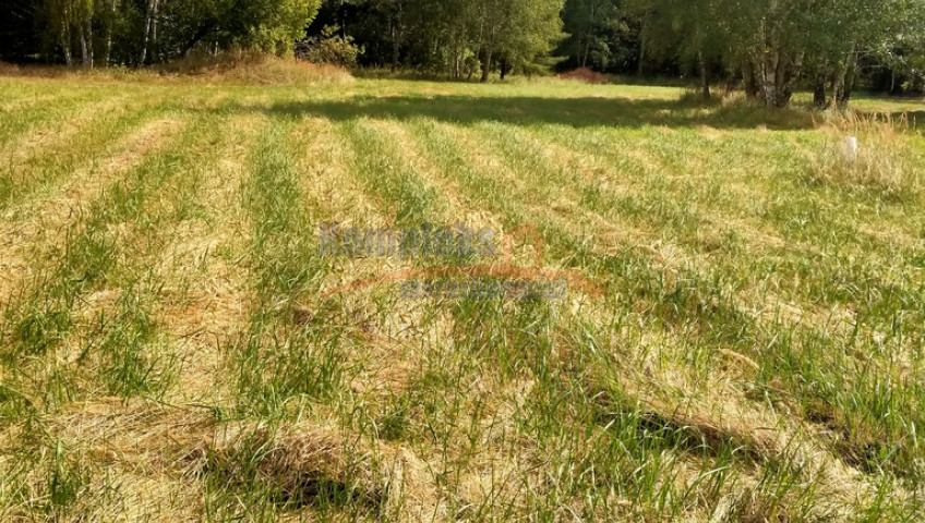 Działka Sprzedaż Grzepnica