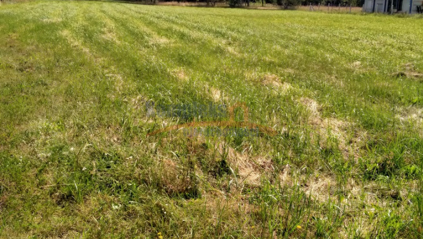 Działka Sprzedaż Grzepnica