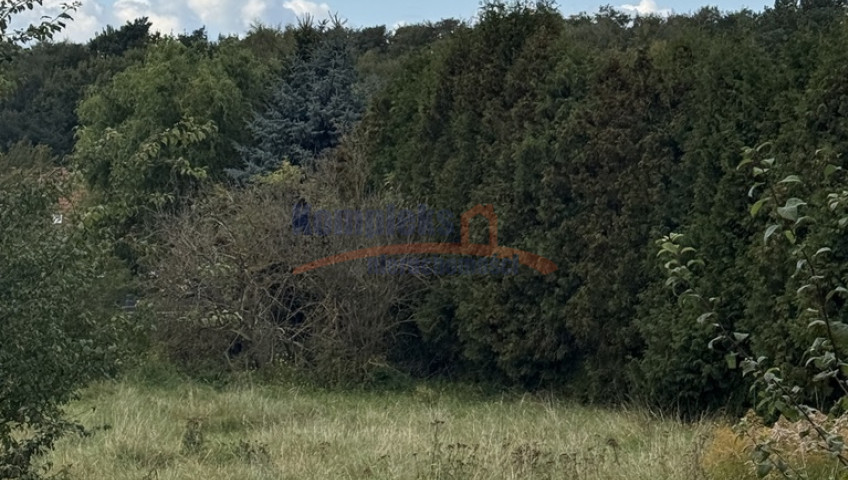 Działka Sprzedaż Szczecin Pilchowo