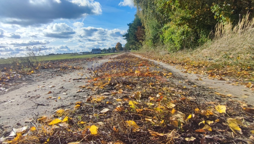 Działka Sprzedaż Grabowo