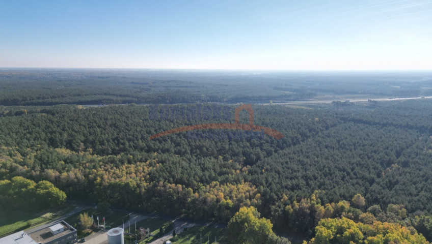 Działka Sprzedaż Łozienica