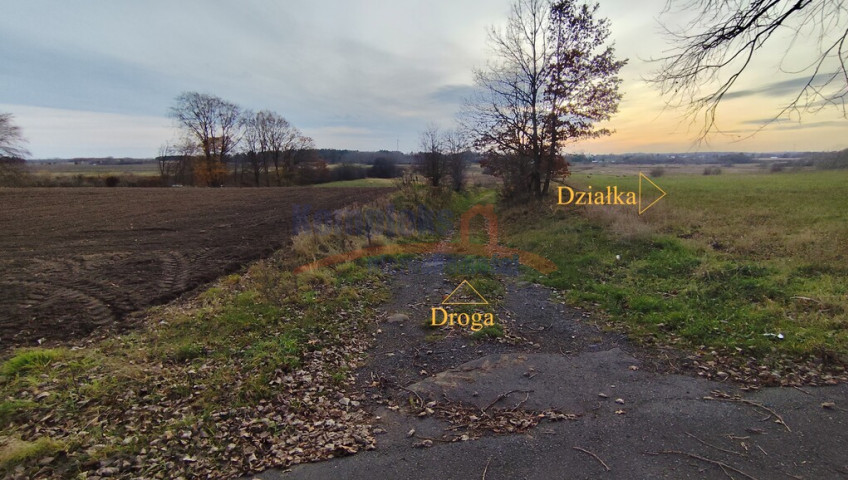 Działka Sprzedaż Wojcieszyn