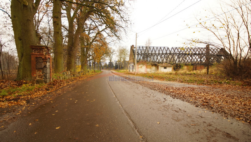 Działka Sprzedaż Radzanek