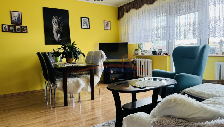 Mieszkanie Sprzedaż Szczecin os. Majowe Witolda Gombrowicza