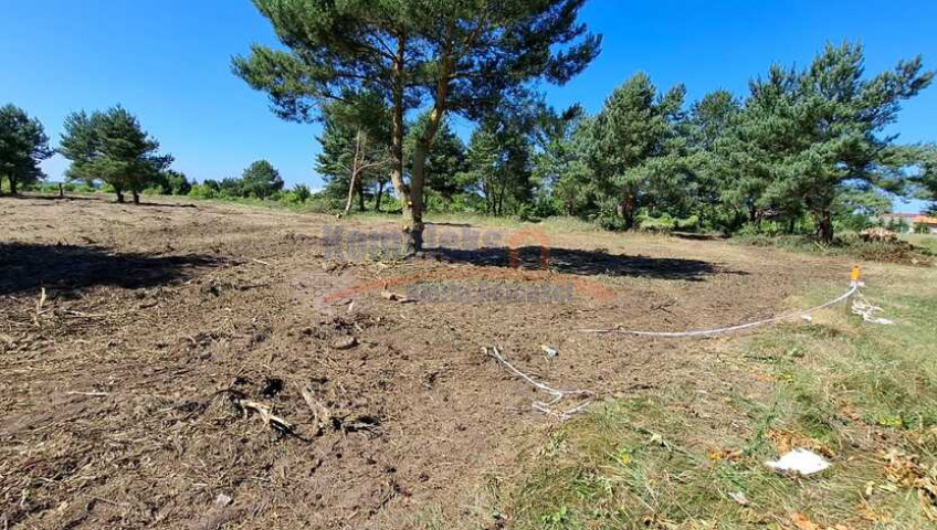 Działka Sprzedaż Miłowo