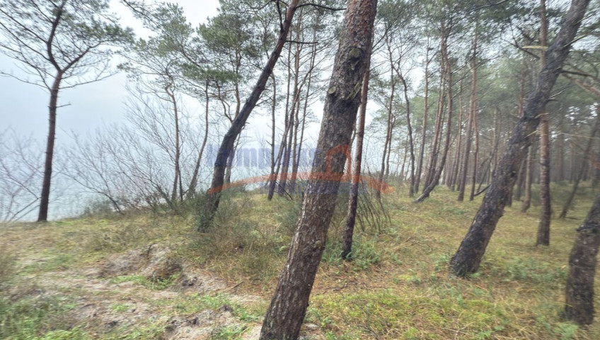 Mieszkanie Sprzedaż Międzywodzie Westerplatte