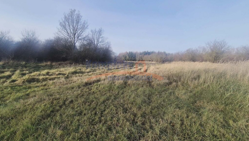 Działka Sprzedaż Tatynia